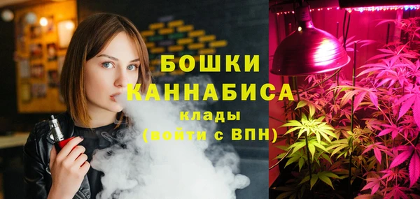 гидропоника Богданович