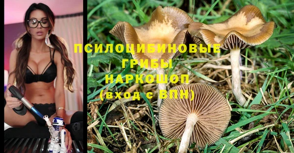 гидропоника Богданович