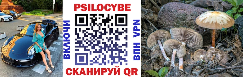 где продают   Ясный  OMG как войти  Галлюциногенные грибы Psilocybe 